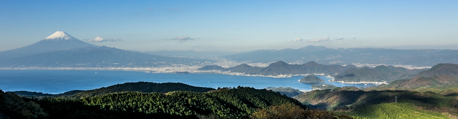 駿河ワークス株式会社